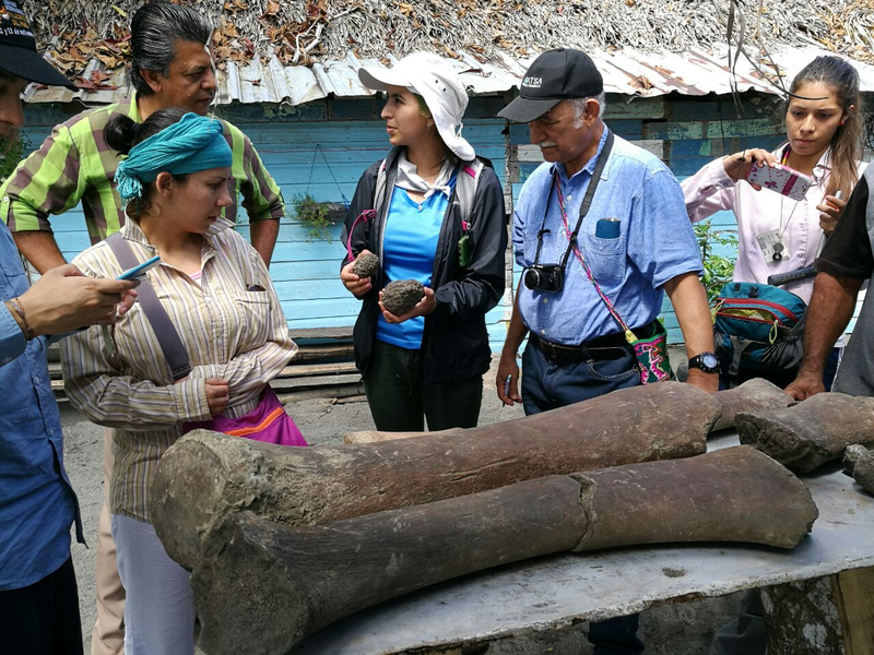 Dirley Cortés, in white hat, with the whale fossils.
